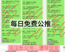 周日012 英超 布伦特福德VS曼彻斯特联赛事前瞻！